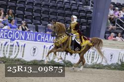 25R13_09875 thumbnail