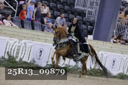 25R13_09879 thumbnail