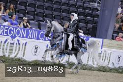 25R13_09883 thumbnail