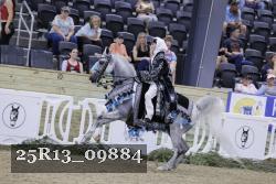 25R13_09884 thumbnail
