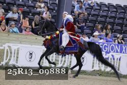 25R13_09888 thumbnail