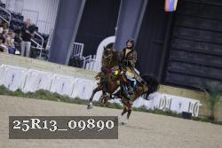 25R13_09890 thumbnail