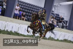 25R13_09891 thumbnail