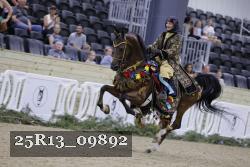 25R13_09892 thumbnail