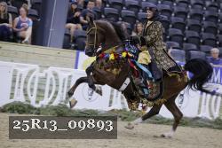 25R13_09893 thumbnail