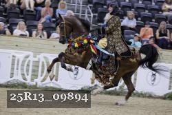 25R13_09894 thumbnail