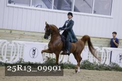 25R13_09901 thumbnail