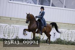 25R13_09904 thumbnail