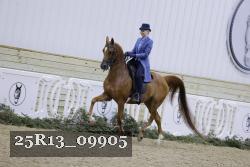 25R13_09905 thumbnail