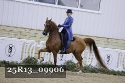 25R13_09906 thumbnail