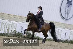 25R13_09908 thumbnail