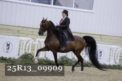 25R13_09909 thumbnail