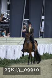 25R13_09910 thumbnail