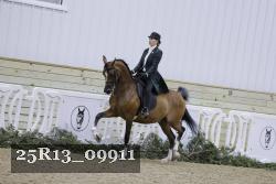 25R13_09911 thumbnail