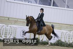 25R13_09912 thumbnail