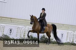 25R13_09914 thumbnail