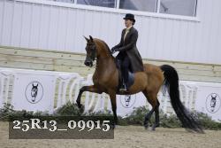 25R13_09915 thumbnail