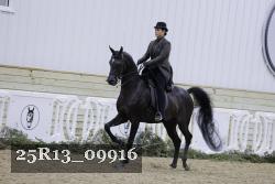 25R13_09916 thumbnail