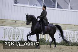 25R13_09917 thumbnail