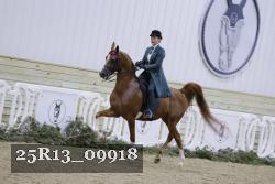 25R13_09918 thumbnail