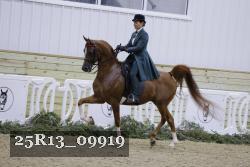 25R13_09919 thumbnail