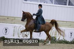 25R13_09920 thumbnail