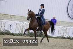 25R13_09922 thumbnail