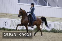 25R13_09923 thumbnail