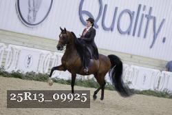 25R13_09925 thumbnail