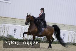 25R13_09926 thumbnail