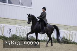 25R13_09929 thumbnail