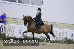 25R13_09930 thumbnail