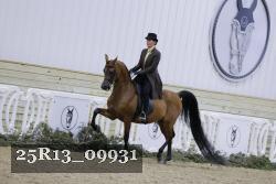 25R13_09931 thumbnail