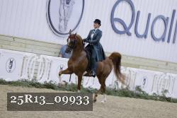 25R13_09933 thumbnail