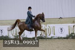 25R13_09937 thumbnail