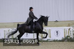 25R13_09938 thumbnail