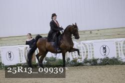 25R13_09939 thumbnail