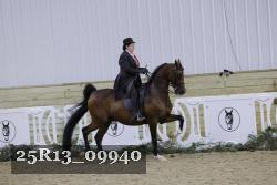 25R13_09940 thumbnail