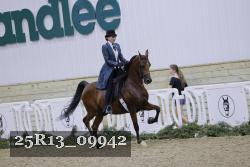 25R13_09942 thumbnail
