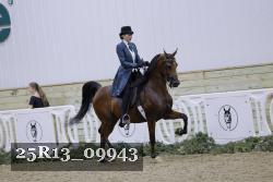 25R13_09943 thumbnail