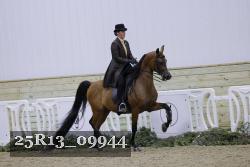 25R13_09944 thumbnail