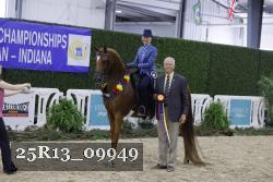 25R13_09949 thumbnail