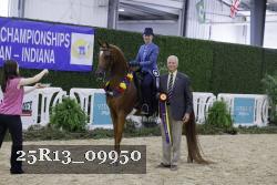 25R13_09950 thumbnail