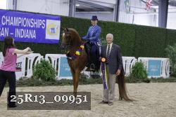 25R13_09951 thumbnail