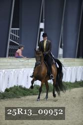 25R13_09952 thumbnail