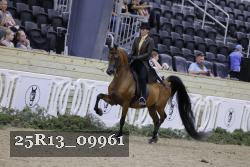 25R13_09961 thumbnail