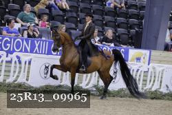 25R13_09965 thumbnail