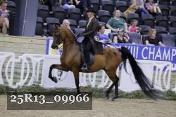 25R13_09966 thumbnail