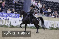 25R13_09972 thumbnail