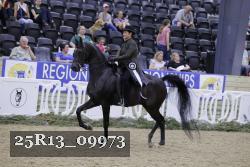 25R13_09973 thumbnail